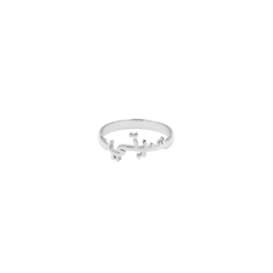 Arabic Simply Ring